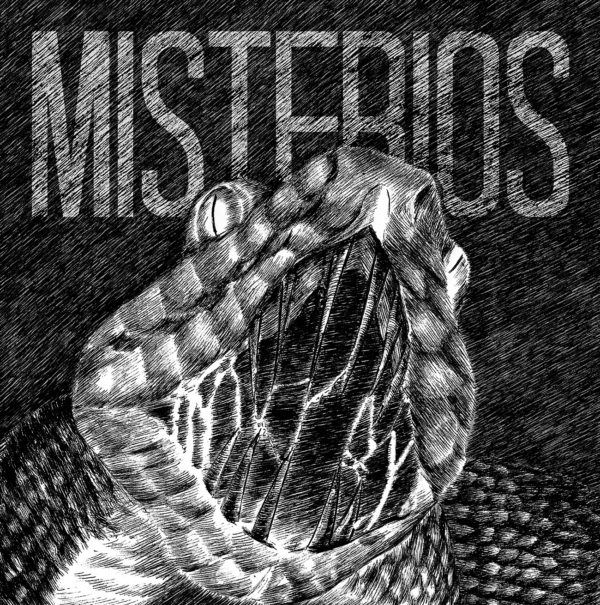 PrendeFuego_NAN2016_ColectivoPrendefuego